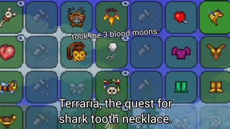 shark tooth necklace terraria calamity.